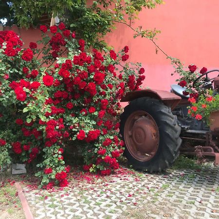 Agriturismo Mulino Bianco 纳托 外观 照片