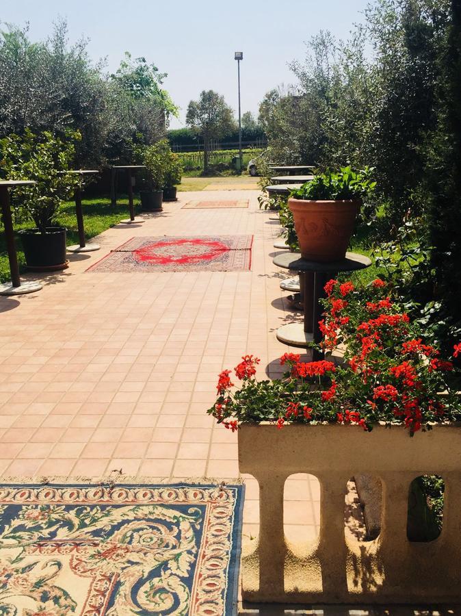 Agriturismo Mulino Bianco 纳托 外观 照片