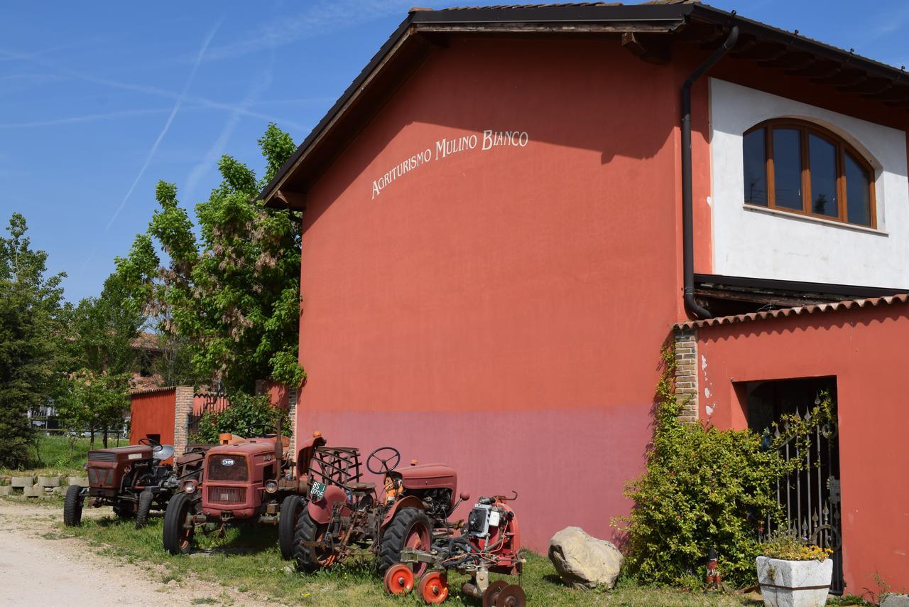Agriturismo Mulino Bianco 纳托 外观 照片