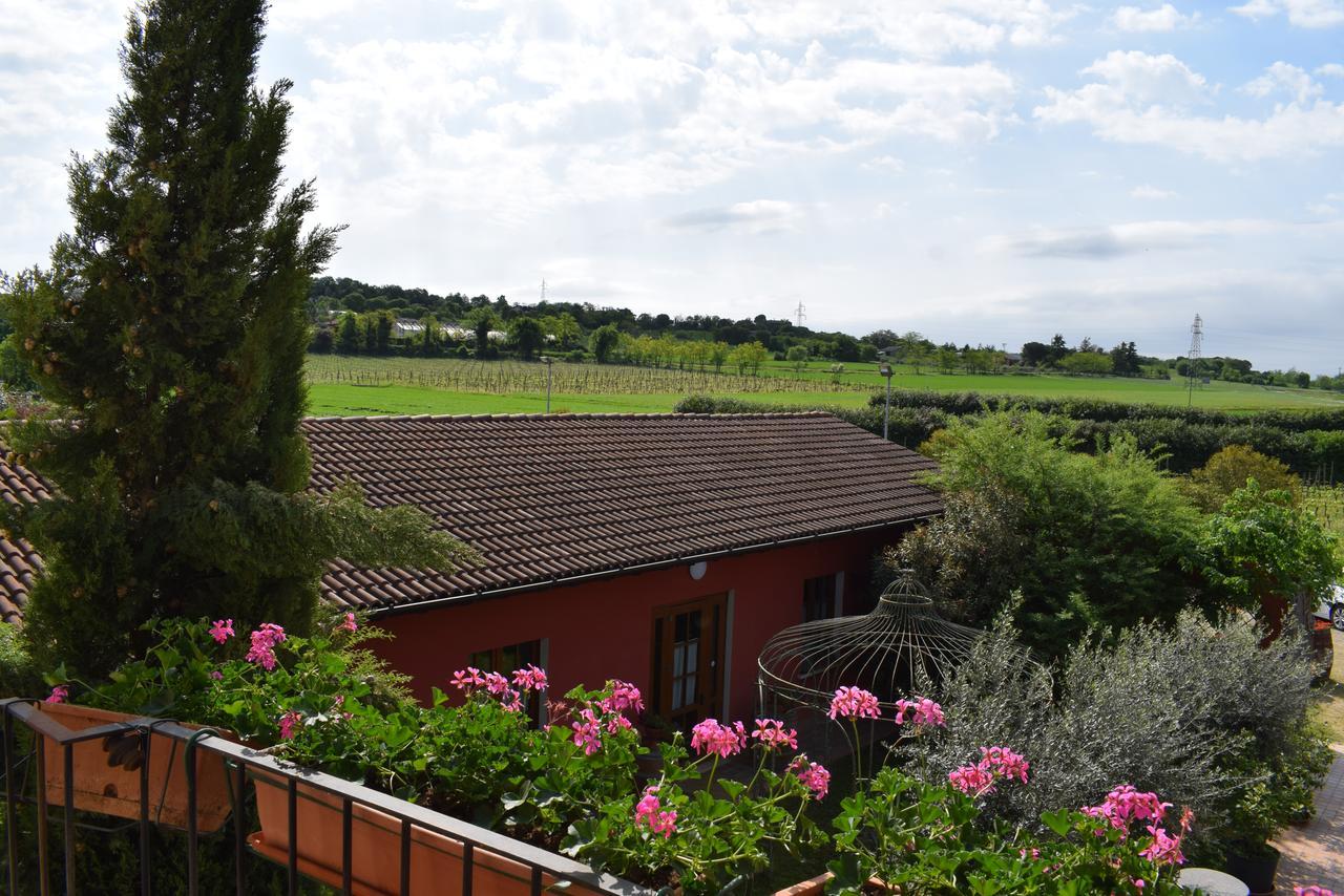 Agriturismo Mulino Bianco 纳托 外观 照片